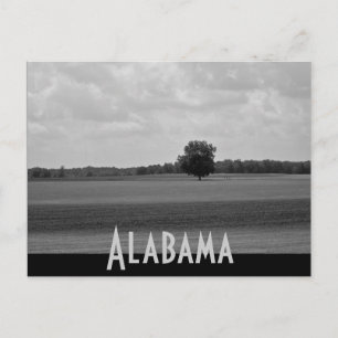 Alabama Postcard