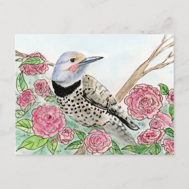 Alabama Postcard (Front)