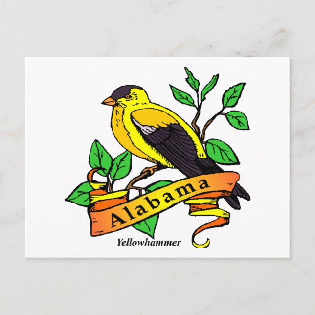 Alabama State Bird Postcard (Front)
