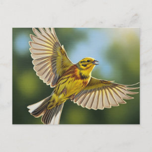 Alabama State Bird Yellowhammer Postcard