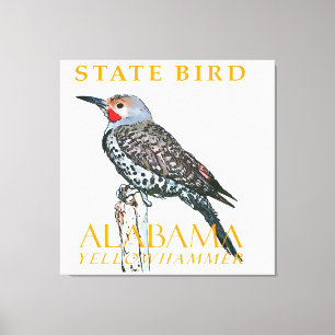 Alabama Territory Bird The Common Flicker Canvas Print
