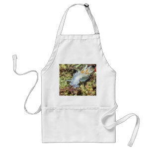 Alabaster Nudibranch - Aprons