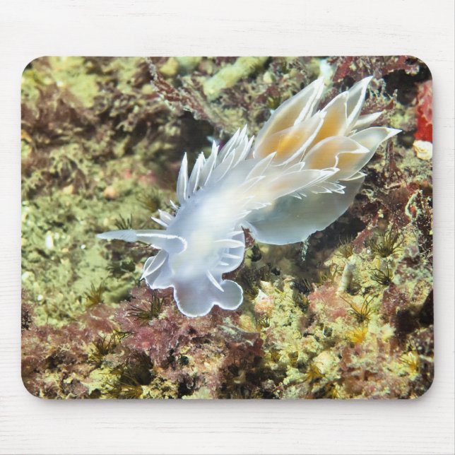 Alabaster Nudibranch Mouse Mat (Front)