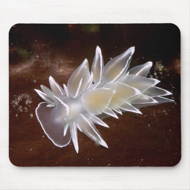 Alabaster Nudibranch Mouse Mat (Front)