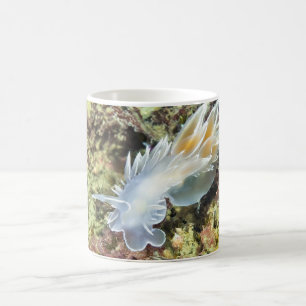 Alabaster Nudibranch - Mug