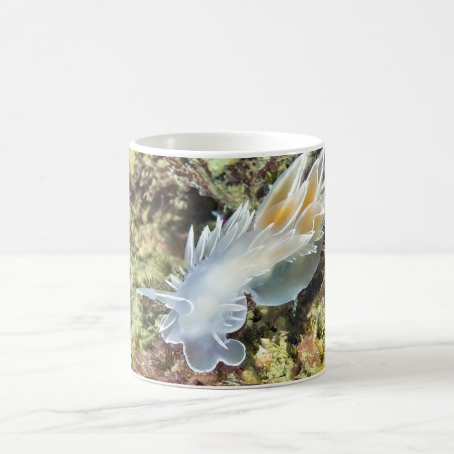 Alabaster Nudibranch - Mug (Center)