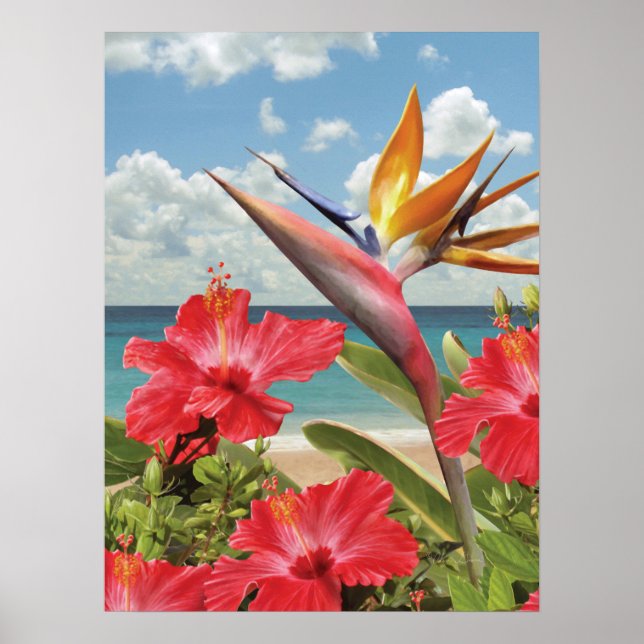 Alan Giana "Hibiscus in Paradise" Poster (Front)