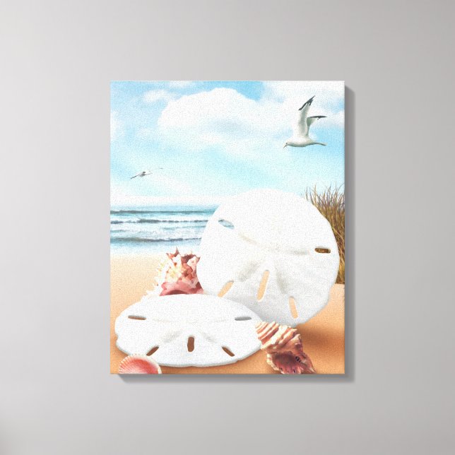 Alan Giana "Sand Dollars" Canvas Print (Front)