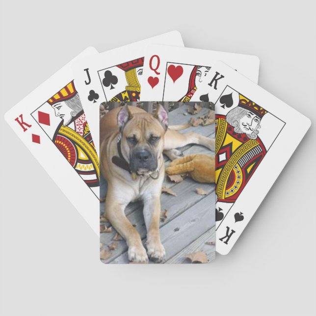 alano espanol laying playing cards (Back)