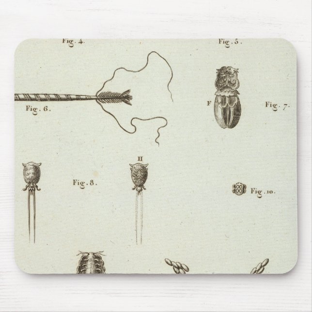 Alaska 3 mouse mat (Front)