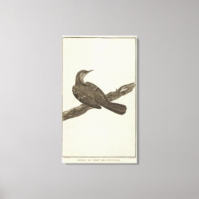 Alaska 6 canvas print (Front)