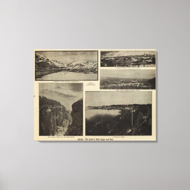 Alaska 6 canvas print (Front)