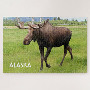Alaska: Alaskan moose 2 Jigsaw Puzzle