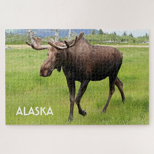 Alaska: Alaskan moose 2 Jigsaw Puzzle (Horizontal)