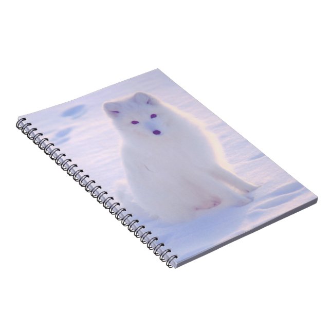 Alaska Arctic Winter Fox Photo Designed Journal (Right Side)