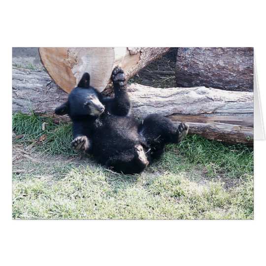 Alaska Black Bear Cub Greeting Card