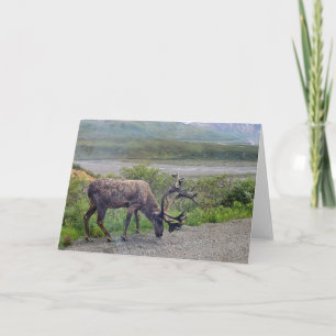 Alaska - Caribou 1 Invitation