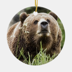 ALASKA CERAMIC TREE DECORATION