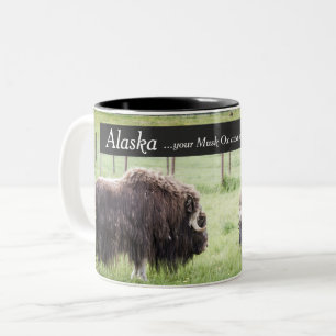 Alaska Coffee Mugs - Musk Ox Awaits