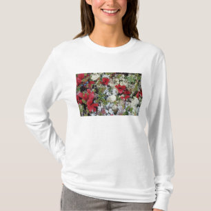 Alaska, Denali National Park, Arctic tundra is T-Shirt