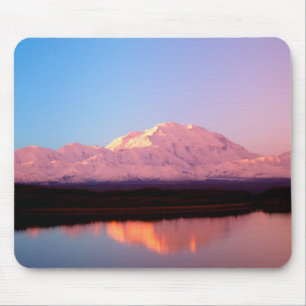 Alaska, Denali National Park, Mt. McKinley at Mouse Mat