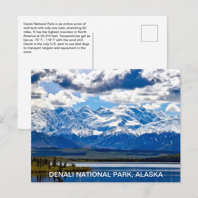 Alaska Denali National Park Postcard (Front/Back)