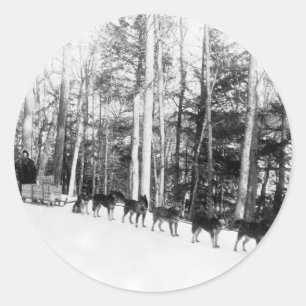 Alaska Dog Sledding Classic Round Sticker
