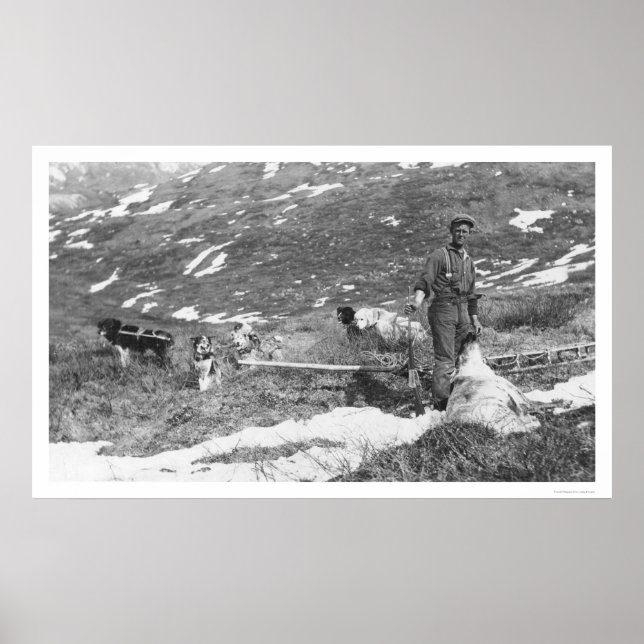 Alaska Dog Team Hunting 1912 Poster (Front)