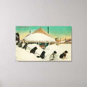 Alaska Dogsled Team resting in SnowState Canvas Print