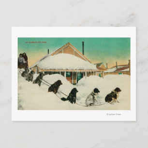 Alaska Dogsled Team resting in SnowState Postcard
