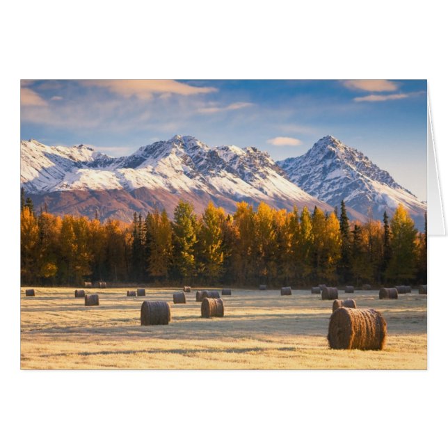 Alaska Farming (Front Horizontal)