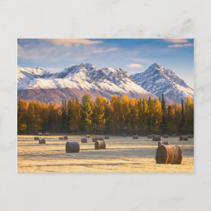 Alaska Farming Postcard