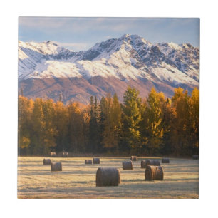 Alaska Farming Tile