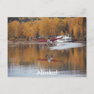 Alaska, Floatplane, Riverboat, Birch trees in Fall Postcard