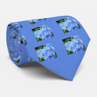 Alaska Forget-Me-Not