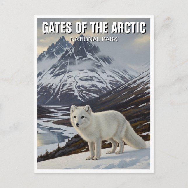 Alaska Gates of the Arctic National Park  Postcard (Front)