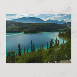 Alaska Highway Postcard