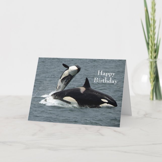 Alaska Killer Whale Orca Photo Birthday Card (Front)