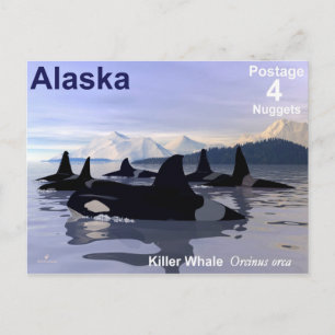 Alaska Killer Whales Stamp Postcard
