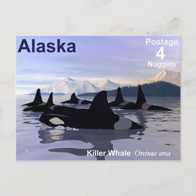 Alaska Killer Whales Stamp Postcard (Front)