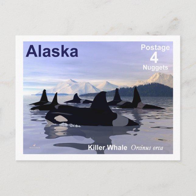 Alaska Killer Whales Stamp Postcard (Front)