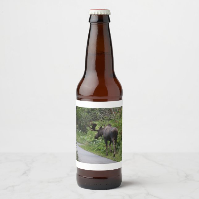 Alaska - Moose Beer Bottle Label (Front)