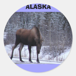 Alaska Moose Classic Round Sticker