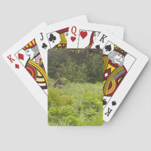 Alaska Moose Poker Card Deck