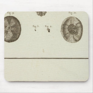 Alaska Mouse Mat