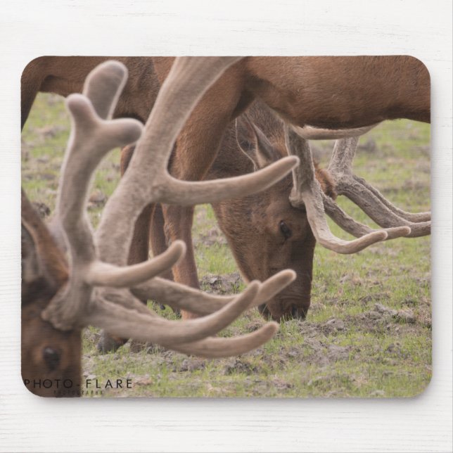 Alaska Mouse Pad (Front)