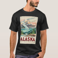 Alaska Northern Lights Bald Eagle Illustration