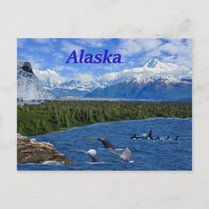 Alaska Postcard