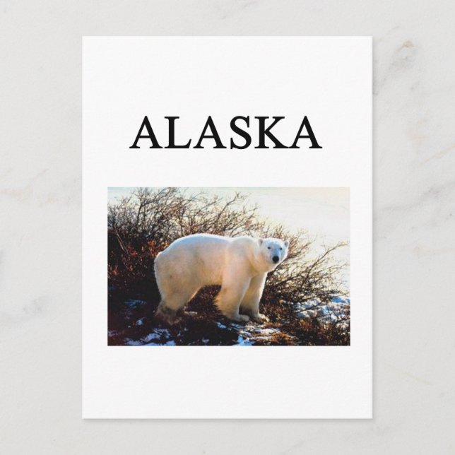 alaska postcard (Front)