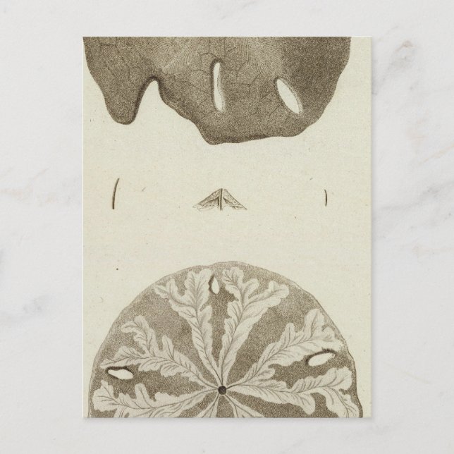 Alaska Postcard (Front)